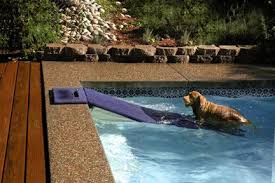 Doggydocks Floatable Dog Ramp Dog Pool Ramp Dog Ramp Dog Pool