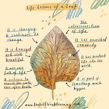 Nature Can Teach Us Some Of Life S Biggest Lessons When We Spend Time With Nature And Nature Is All Around Us And Pay At Walking In Nature Life Life Lessons