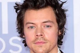 One Direction's Harry Styles spotted 'going for a swim' in Westcountry