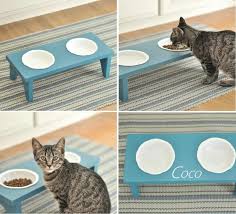Top 10 Diy Pet Projects Top Inspired Pet Diy Projects Diy Stuffed Animals Animal Projects