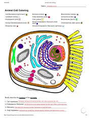 Inside the plant cell, each organelle performs a specialized function according to its structure. Plant Cell Coloring Answer Key Lovely Biology Corner Plant Cell Coloring Sheet Of Plant Cell Colorin Plant Cell Coloring Name Cell Membrane Orange Course Hero