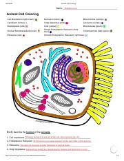 Cell membrane biology yup transportation coloring tumblr student teaching pictures. Hvuxjjdnauk8um