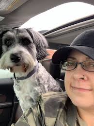 Lost dogs at south park mall?