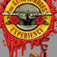 Guns N'Roses Experience event image