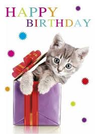 Happy Katzengeburtstag Gluckwunsche Geburtstag Geburtstag Wunsche Katzen Geburtstag