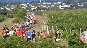 Photo Avec plus de 2 500 inscrits les Foul�es du saumur-champigny ...