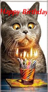 Happy Birthday Funny Happy Birthday Pictures Happy Birthday Pictures Happy Birthday Friend