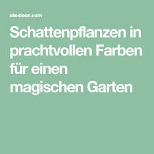 Schattenpflanzen In Prachtvollen Farben Fur Einen Magischen Garten Schattenpflanzen Pflanzen Schatten