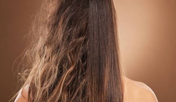 Damaged Hair
