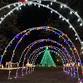 Christmas on the Bosque event image