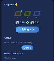 A Guide To Momos Welcome To All Things Momo At Mobox By Mobox Medium