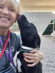 I may look like I am having deep thoughts... I'm actually thinking about  what to buy my dog for Christmas! Lap of Luxury looks after small companion  and toy breeds exclusively. -