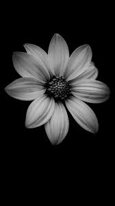 Black And White Wallpaper Iphone Xr Wallpapers Iphone Xr Blackwallpaperiphone Modernlamps Wallpapers Iphone Xr Blackwal In 2020 Dark Wallpaper Iphone Black Wallpaper Iphone Dark Iphone Backgrounds