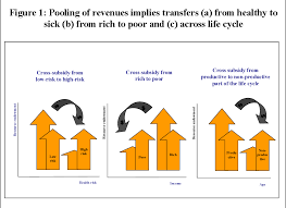 Pdf Risk Pooling In Health Care Financing The Implications For Health System Performance Semantic Scholar