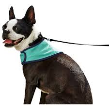 Good2go Cooling Dog Bandana Small Medium In 2019 Products