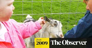 Maybe you would like to learn more about one of these? E Coli Outbreak Call For Petting Farms To Stop Children Stroking The Animals E Coli The Guardian