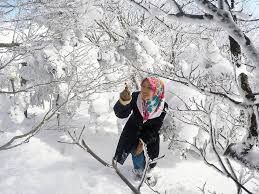 Hampir setiap hari semasa di korea, kami akan beli strawberry korea, rasanya sangat2 manis dan sedap. Siapa Kata Musim Salji Tak Cantik Jeju Muslim Travel Facebook