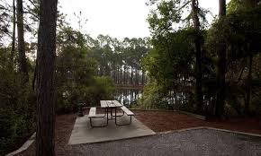 Looking for public & private campsites in panama city beach, fl? Pineglen Motorcoach And Rv Park Panama City Beach Florida
