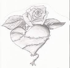 For sure we have here coloring pages with roses for everyone: Images Of Drawings Of Roses With Banners