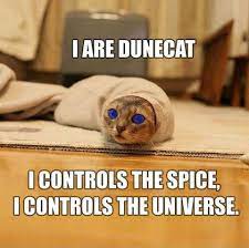 Who doesn't love some good cat memes to brighten up their day and make them laugh? 25 Funny Cat Memes That Will Make You Lol