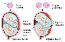 Jul 30, 2018 · it concluded that dichorionic twins deviates from singleton reference charts at approximately 32 weeks. Can Dizygotic Twins Be Equally Affected By A Teratogen Like Alcohol Intro Psych Blog F19 Group 9