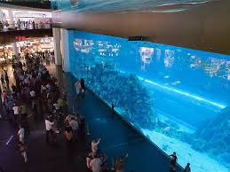 the aquarium in the dubai mall is home to more than 33 000 marine animals and the massive viewing panel holds the guinne big aquarium dubai mall dubai holidays