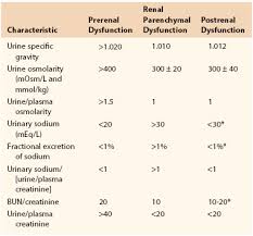 Image result for Postrenal Failure