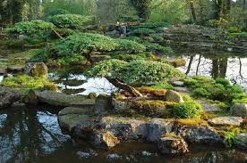 Pin Von C Auf Jardin Zen Japanischer Garten Zengarten Zen Garten