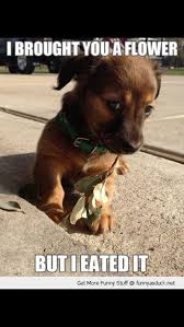 Pin By Jess Ingle On Cute Animals Cute Kids Cute Baby Animals Funny Animals Cute Animals