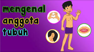 Jun 03, 2021 · kartun. Mengenal Anggota Tubuh Video Prasekolah Youtube