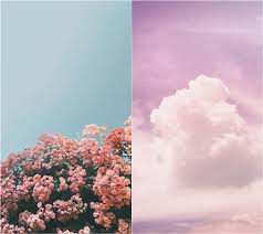 Ottieni cillianaa rose iphone wallpaper pink aesthetic sfondi. 30 Aesthetic And Vintage Iphone Wallpaper Ideas Fancy Ideas About Everything