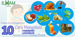 Mengobati Disentri Tidak Harus Selalu Dengan Tindakan Medis Untuk Menyembuhkan Penyakit Disentri Bisa Menggunakan Obat Alami Yang Tersebar Dan Alam Obat Alami