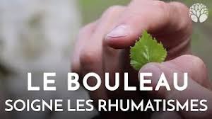 Retrouvez la vitalité et détoxifiez votre organisme en profondeur, grâce à la sélection de nos experts qui ont à cœur de vous proposer des produits sains et purs. La Seve De Bouleau Recolter Et Consommer Le Chemin De La Nature