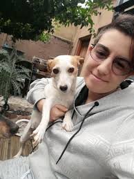 Pet Photography in Alberton , Alberton