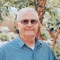 Mona Farber's Instagram, Twitter & Facebook