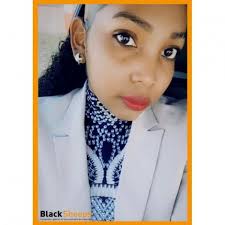 Actualités de la Franchise BLACKSHEEPS