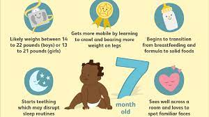 Your 7 Month Old Baby Development Milestones