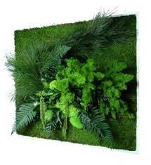 Pflanzenbild 80 X 80 Cm Im Greenbop Online Shop Kaufen Pflanzen Vertikale Pflanzer Wandpflanzer