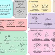 Image result for Voacanga chalotiana