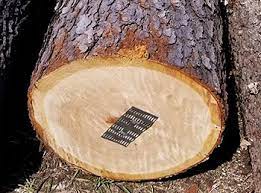 Surfaced 2 or 4 sides. Walnut Logs Veneer Saw Grades Porter Lumber