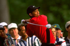 Tiger woods is an entirely different breed when it comes to the golf course. Tiger Woods Net Worth Golfer Has Earned 1 4 Billion From Endorsements Since 1996