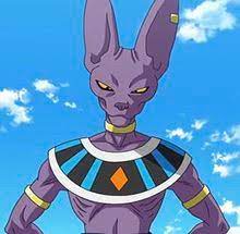 A pet is a domesticated animal that lives with an individual or family. Beerus Wikipedia