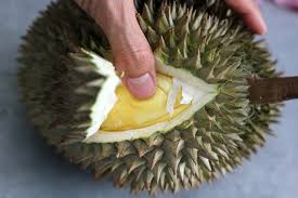 Langkah demi langkah akan kita kupas tuntas. The Ultimate Bangkok Durian Guide What You Need To Know About The Stinky Fruit