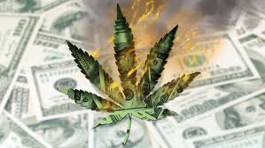 Shop flower, vapes, edibles, and joints from legal marijuana brands. Marijuana Delivery Service Eaze Scales Back 1 Billion Ambitions Documents Show Marketwatch