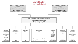 Organizational Structure Cornell Center For Health Equity