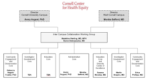 organizational structure cornell center for health equity