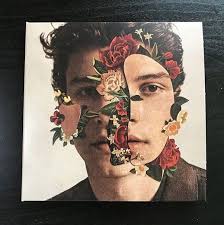 Shawn mendes was born in a toronto suburb of pickering in 1998. Pin On Celebs