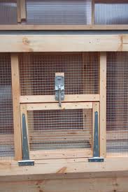 The pen in the picture is 8′ x 6′ with door in to pen from shed. Pigeon Lofts Sheds In