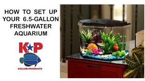How To Set Up Your Freshwater Aquarium 6 5 Gallon Youtube
