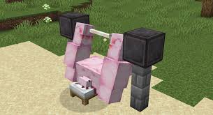 What kind of fish can axolotls eat in minecraft? Systemzee On Twitter We Made The Axolotl Super Buff In Minecraft Thanks To Modsully S Permission We Ll Be Releasing The Absolotl As A Mod Soon Https T Co Fkmsfl01kk Https T Co Ps40daxxcr